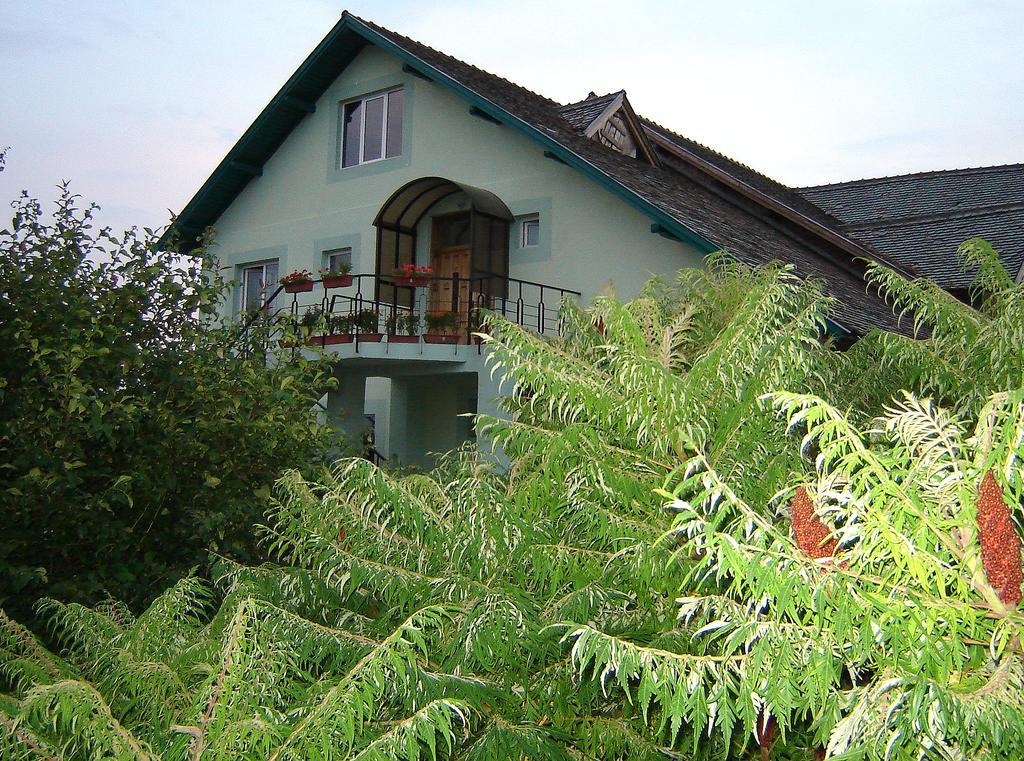 Hotel Casa Cu Pauni Maracineni Zewnętrze zdjęcie