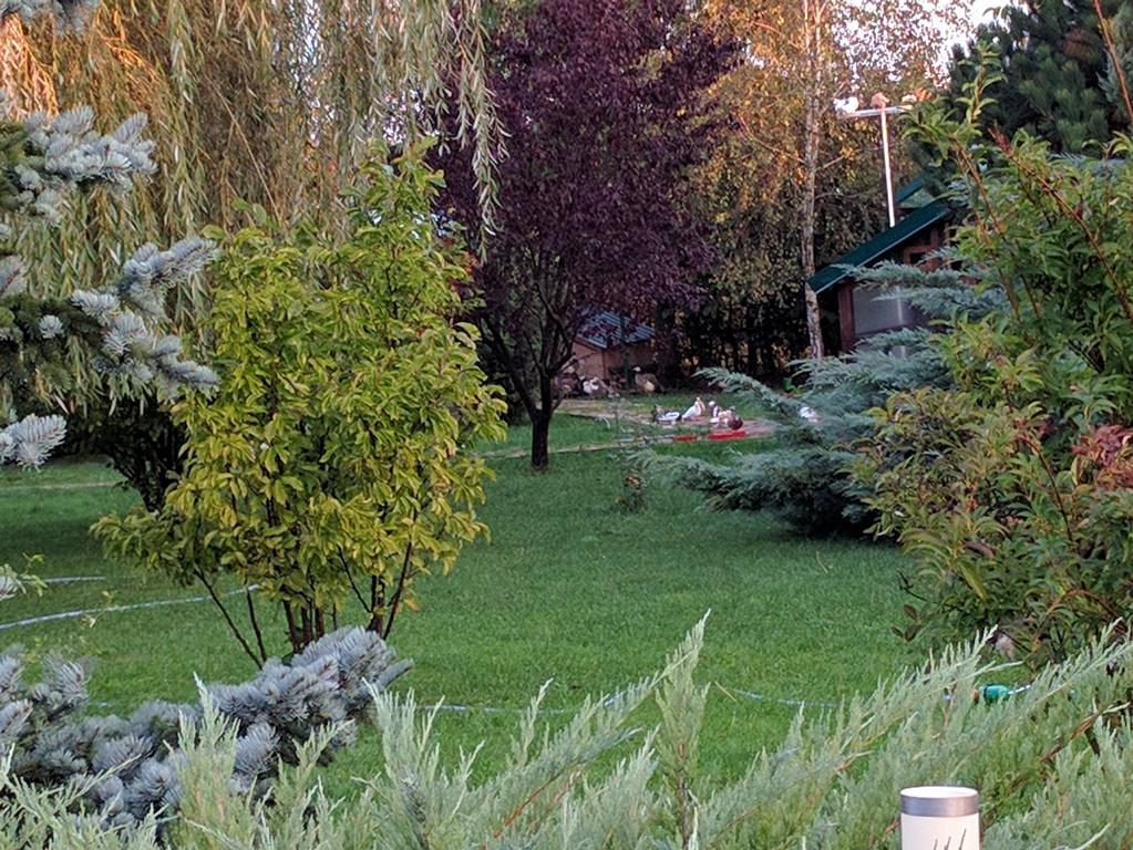 Hotel Casa Cu Pauni Maracineni Zewnętrze zdjęcie