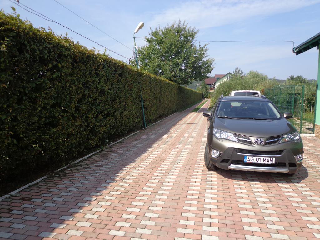 Hotel Casa Cu Pauni Maracineni Zewnętrze zdjęcie