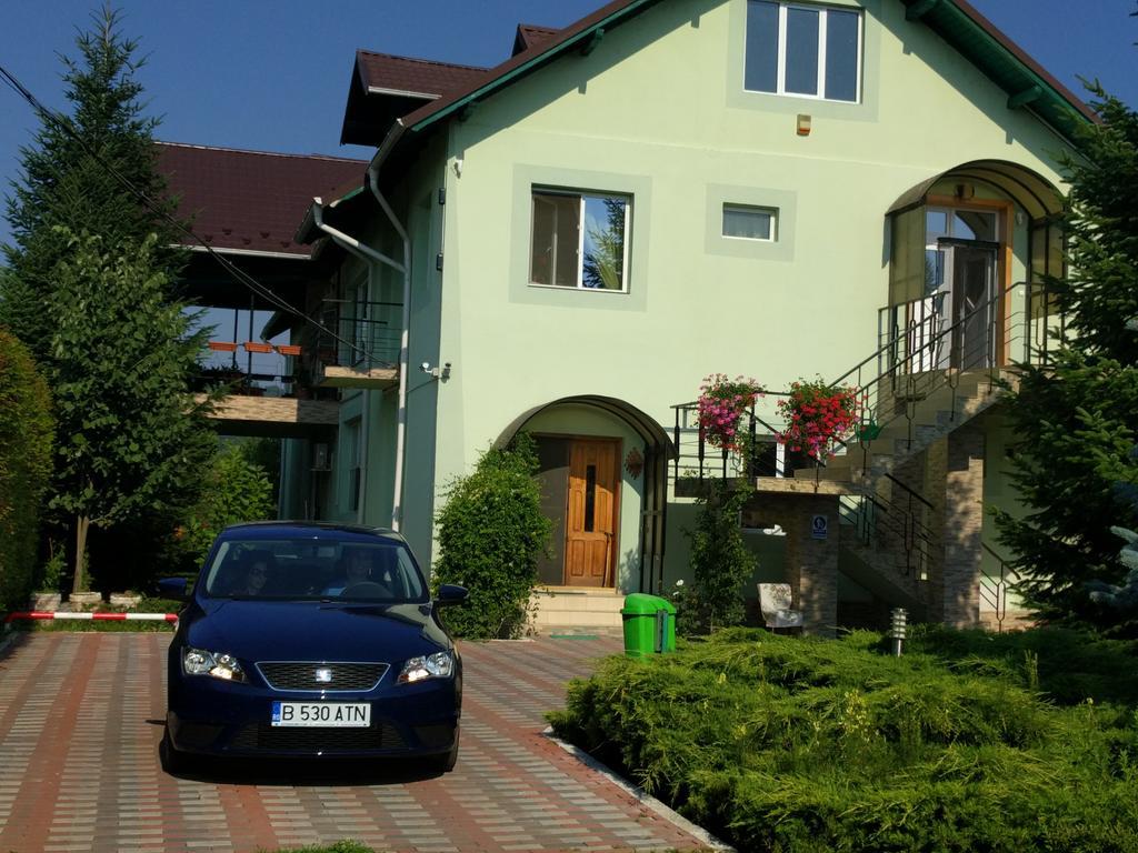 Hotel Casa Cu Pauni Maracineni Zewnętrze zdjęcie