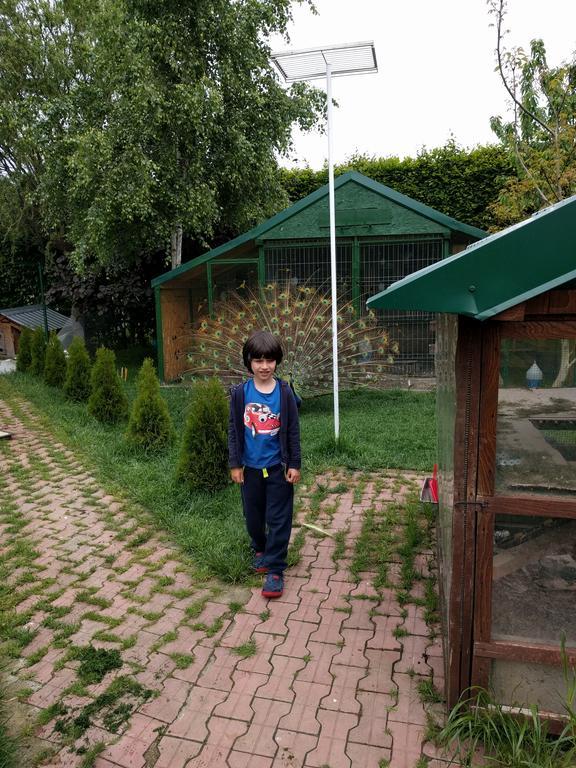 Hotel Casa Cu Pauni Maracineni Zewnętrze zdjęcie
