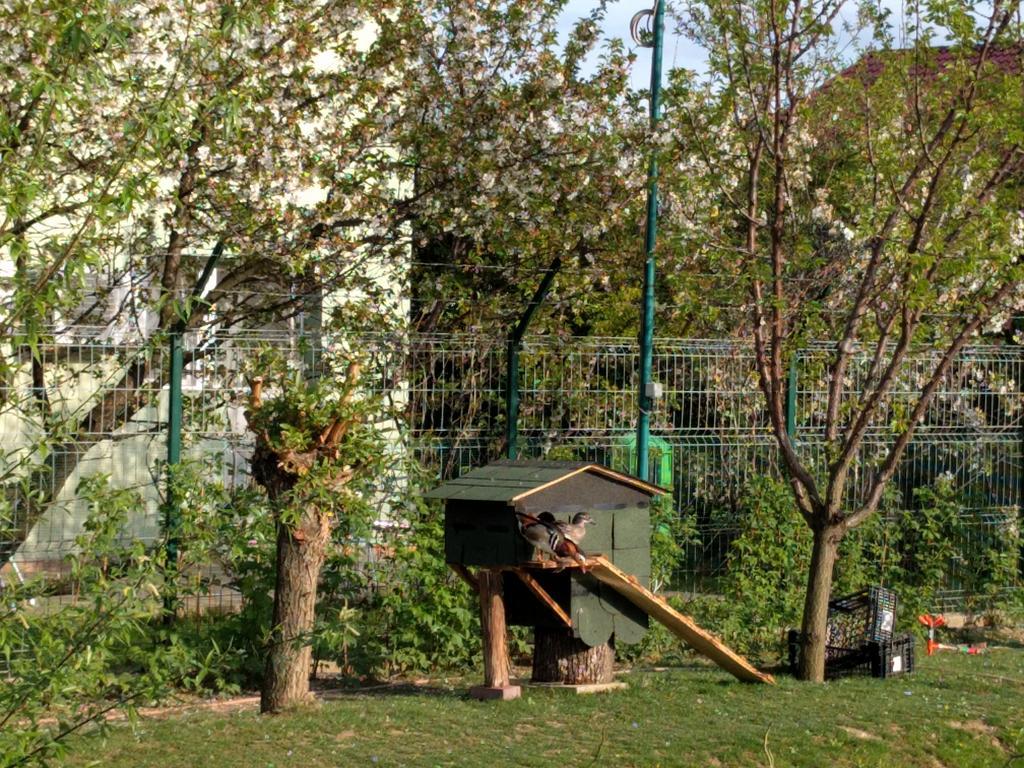 Hotel Casa Cu Pauni Maracineni Zewnętrze zdjęcie