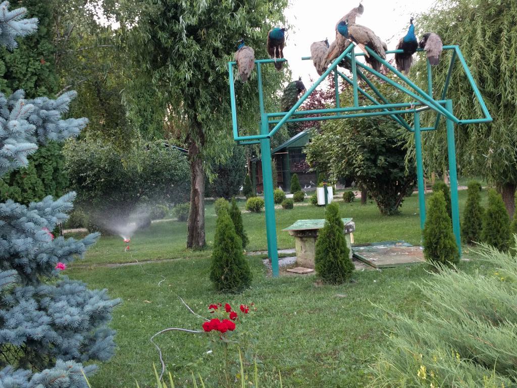 Hotel Casa Cu Pauni Maracineni Zewnętrze zdjęcie