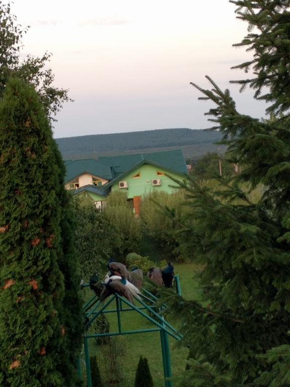 Hotel Casa Cu Pauni Maracineni Zewnętrze zdjęcie